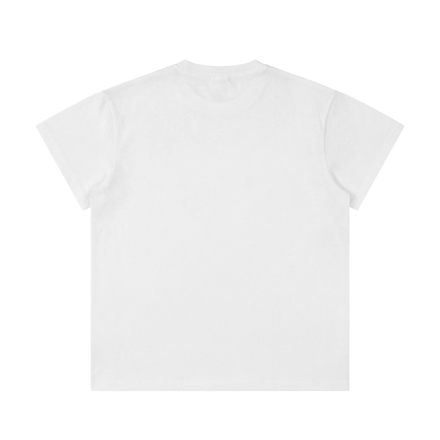 100 percent cotton t-shirt,lightweight cotton t-shirt,classic fit t-shirt,breathable cotton t-shirt,regular fit cotton t-shirt,loose fit t-shirt,cotton graphic t-shirt,israelite clothing,hebrew israelite apparel,scripture t-shirt