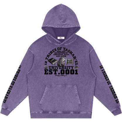 12 Tribes University Snow Washed Hoodie
