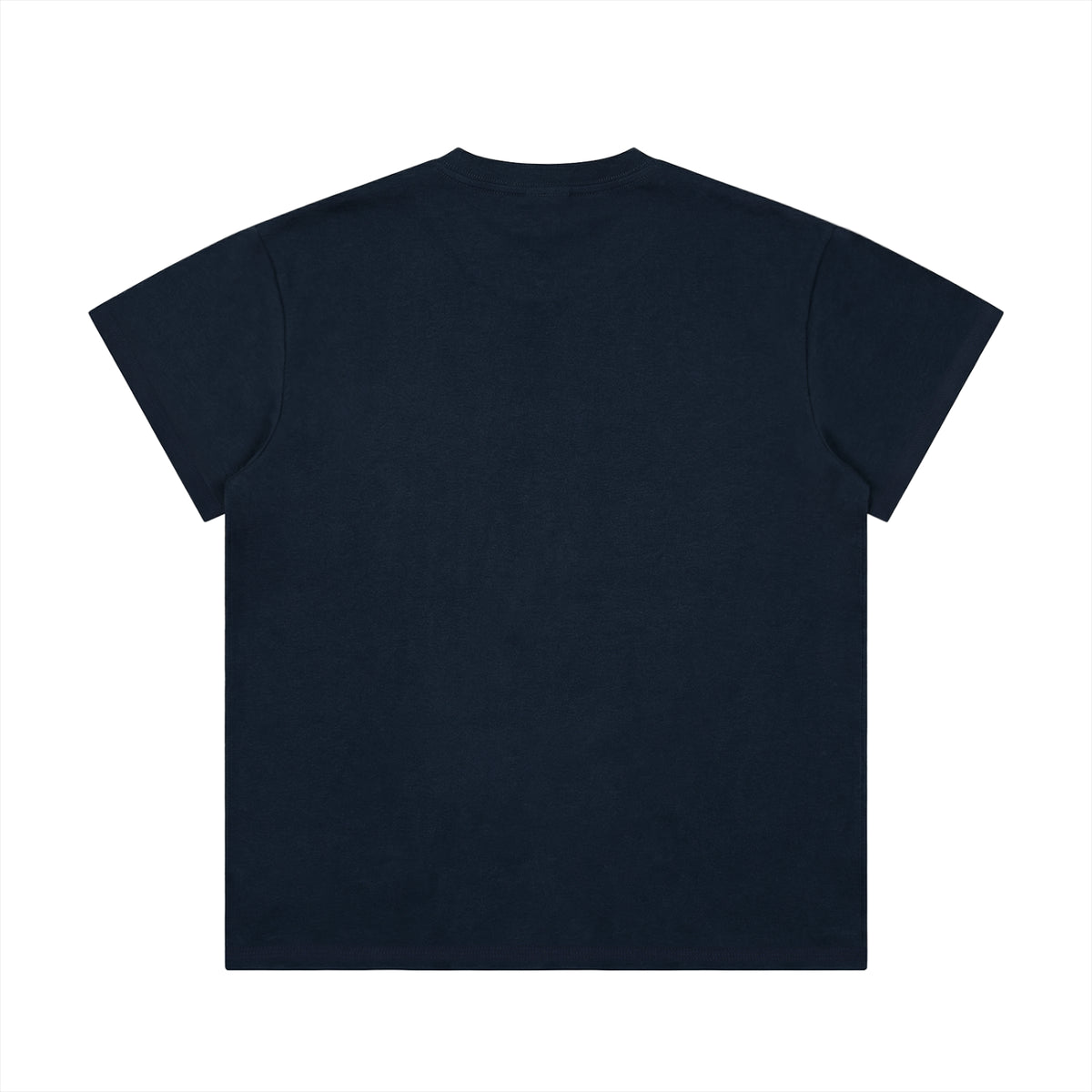 100 percent cotton t-shirt,lightweight cotton t-shirt,classic fit t-shirt,breathable cotton t-shirt,regular fit cotton t-shirt,loose fit t-shirt,cotton graphic t-shirt,israelite clothing,hebrew israelite apparel,scripture t-shirt
