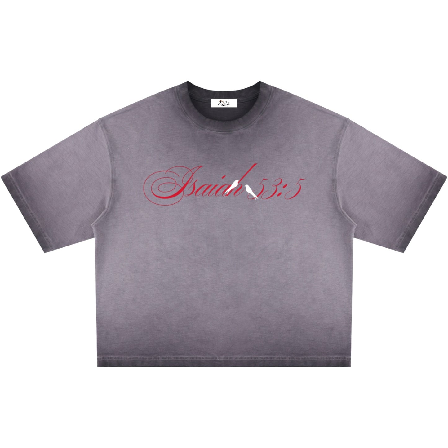 By His Stripes Reverse Dyed Boxy T-Shirt