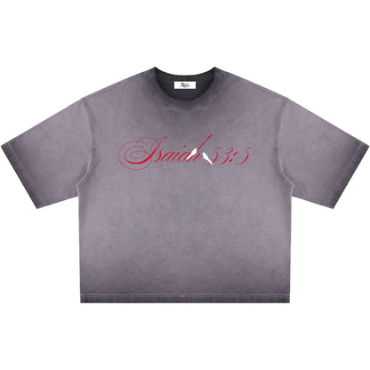By His Stripes Reverse Dyed Boxy T-Shirt