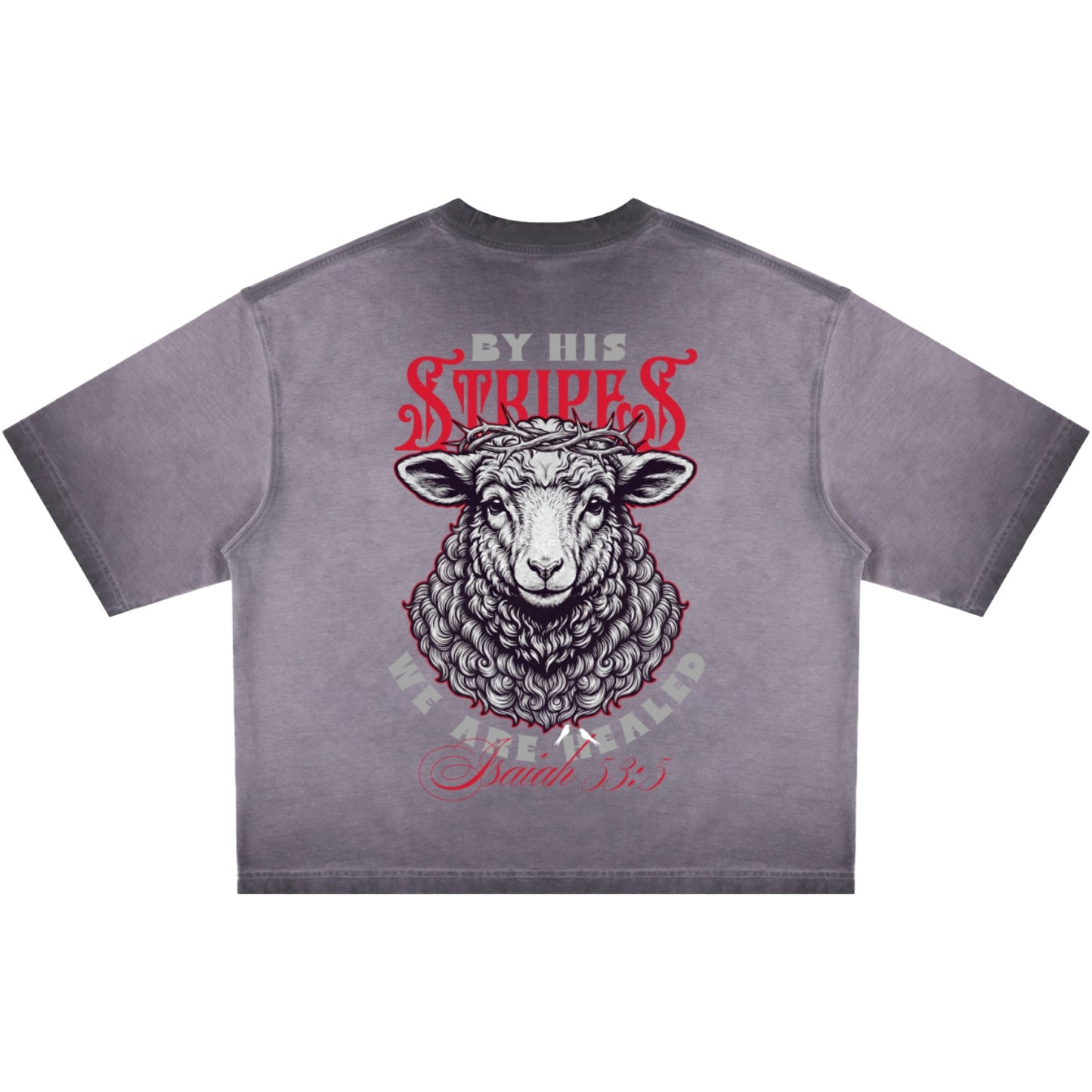 By His Stripes Reverse Dyed Boxy T-Shirt
