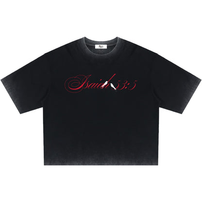 By His Stripes Reverse Dyed Boxy T-Shirt