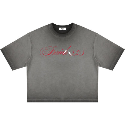 By His Stripes Reverse Dyed Boxy T-Shirt