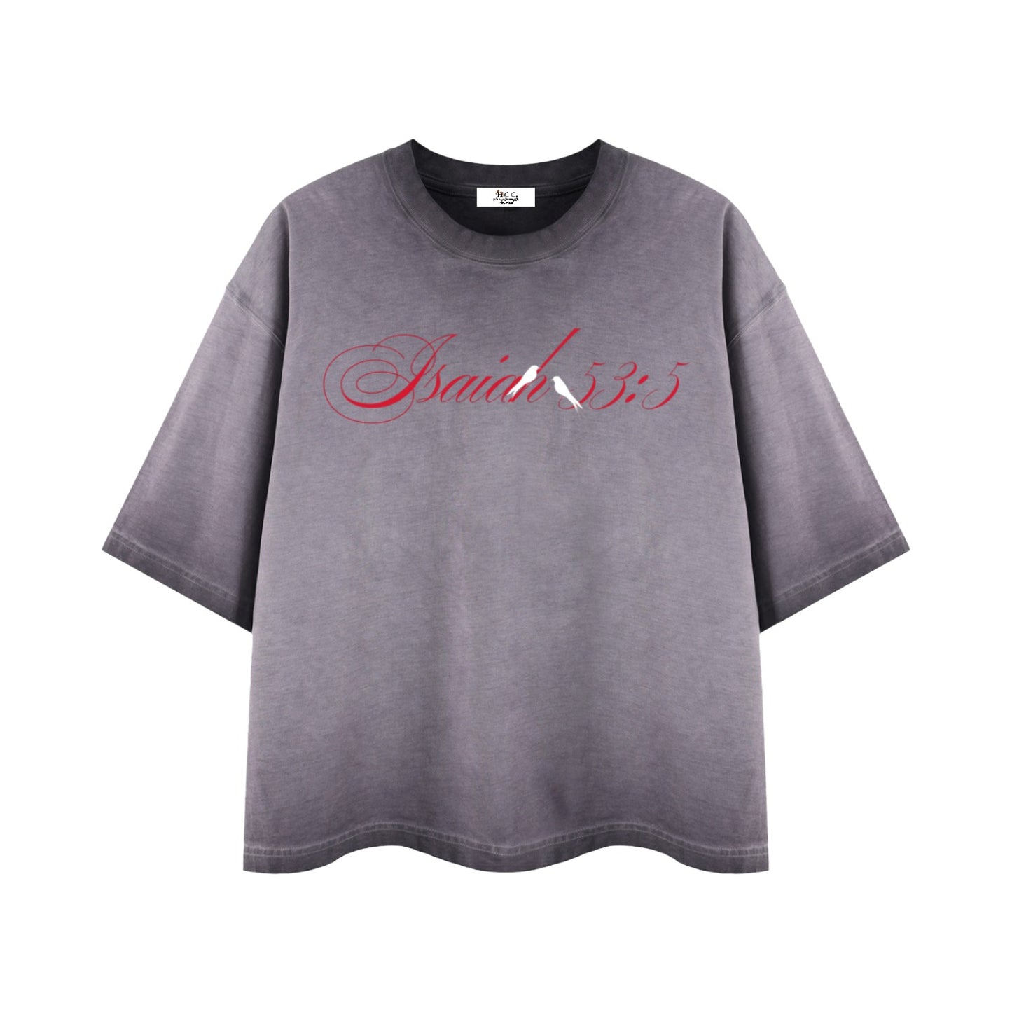 By His Stripes Reverse Dyed Boxy T-Shirt