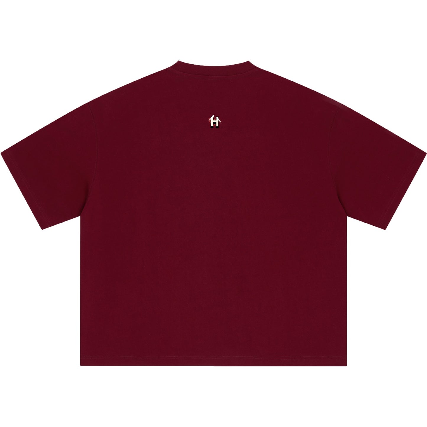 Knowledge Increases Sorrow Boxy Oversized T-Shirt