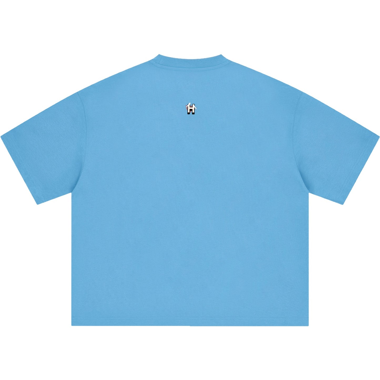 Knowledge Increases Sorrow Boxy Oversized T-Shirt