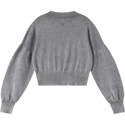 Natsarene Women's Cropped Sweater