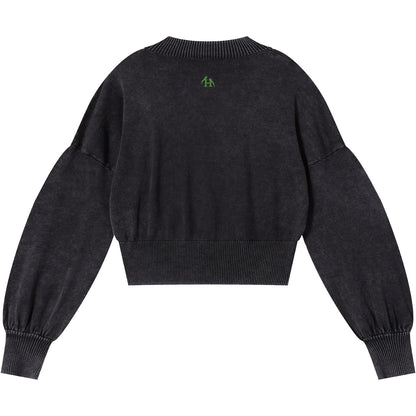 Natsarene Women's Cropped Sweater