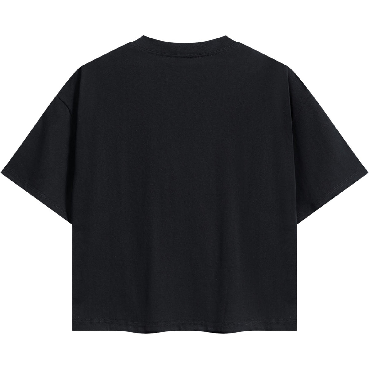 Valley Of Dry Bones Boxy Short Cut T-Shirt