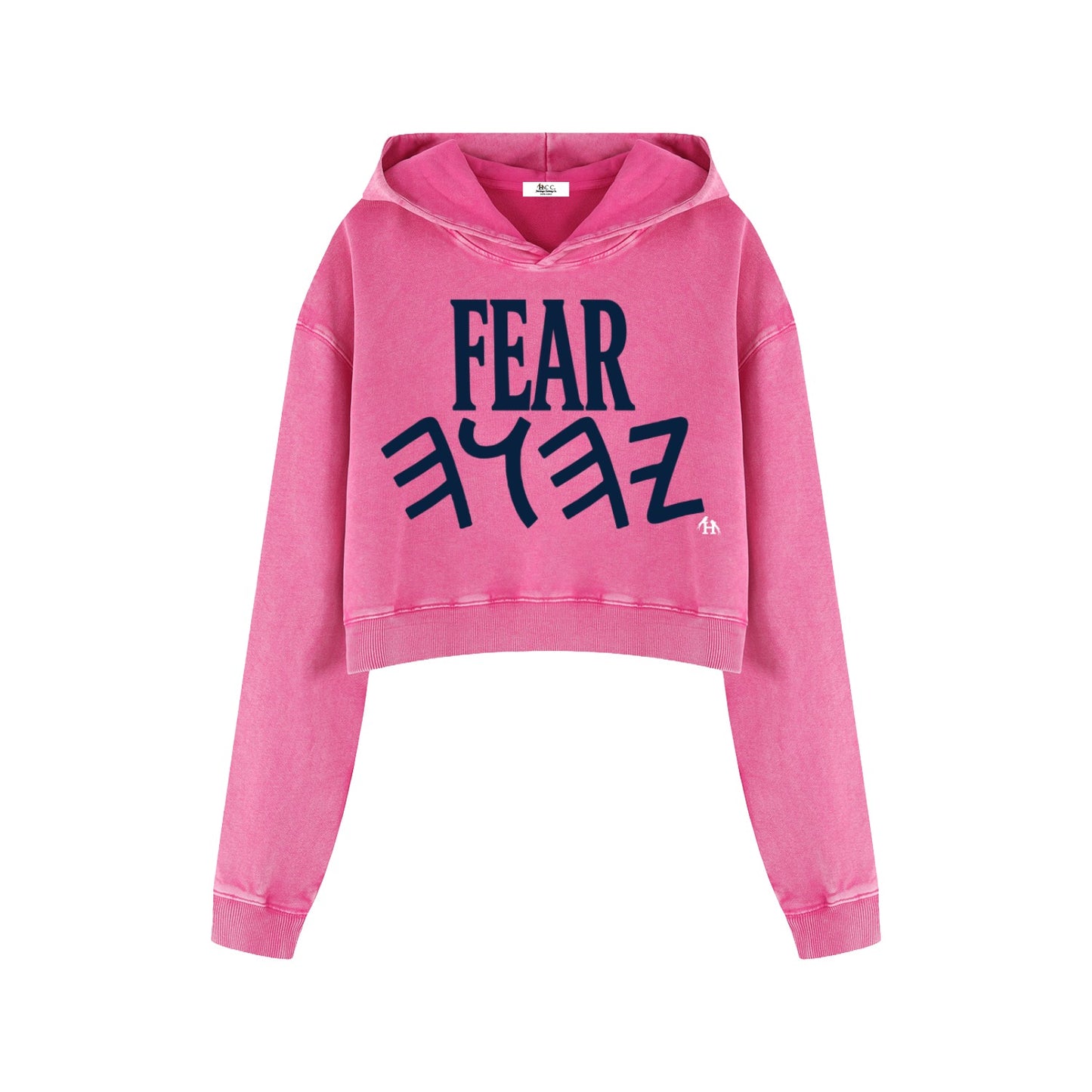 Whole Duty Of Man Women’s Vintage Cropped Hoodie