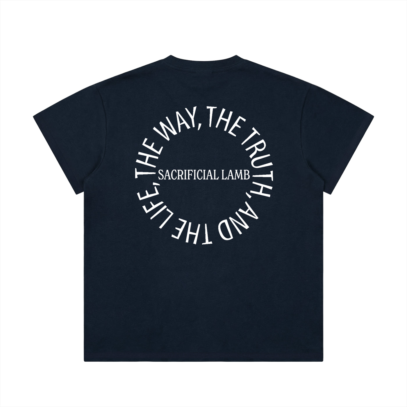100 percent cotton t-shirt,lightweight cotton t-shirt,classic fit t-shirt,breathable cotton t-shirt,regular fit cotton t-shirt,loose fit t-shirt,cotton graphic t-shirt,israelite clothing,hebrew israelite apparel,scripture t-shirt