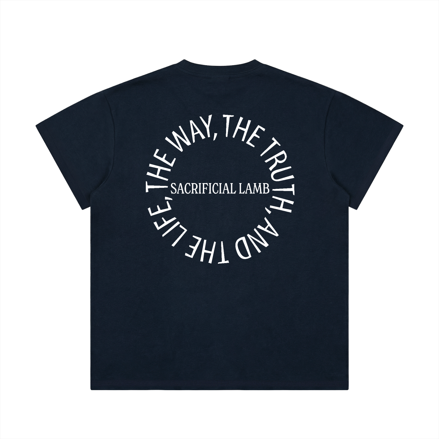 100 percent cotton t-shirt,lightweight cotton t-shirt,classic fit t-shirt,breathable cotton t-shirt,regular fit cotton t-shirt,loose fit t-shirt,cotton graphic t-shirt,israelite clothing,hebrew israelite apparel,scripture t-shirt