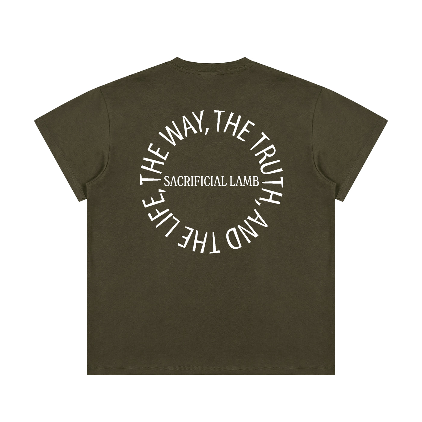 100 percent cotton t-shirt,lightweight cotton t-shirt,classic fit t-shirt,breathable cotton t-shirt,regular fit cotton t-shirt,loose fit t-shirt,cotton graphic t-shirt,israelite clothing,hebrew israelite apparel,scripture t-shirt