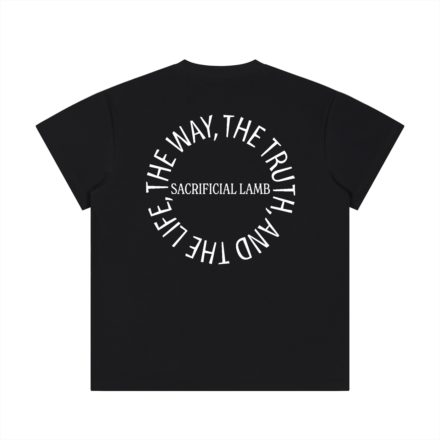 100 percent cotton t-shirt,lightweight cotton t-shirt,classic fit t-shirt,breathable cotton t-shirt,regular fit cotton t-shirt,loose fit t-shirt,cotton graphic t-shirt,israelite clothing,hebrew israelite apparel,scripture t-shirt