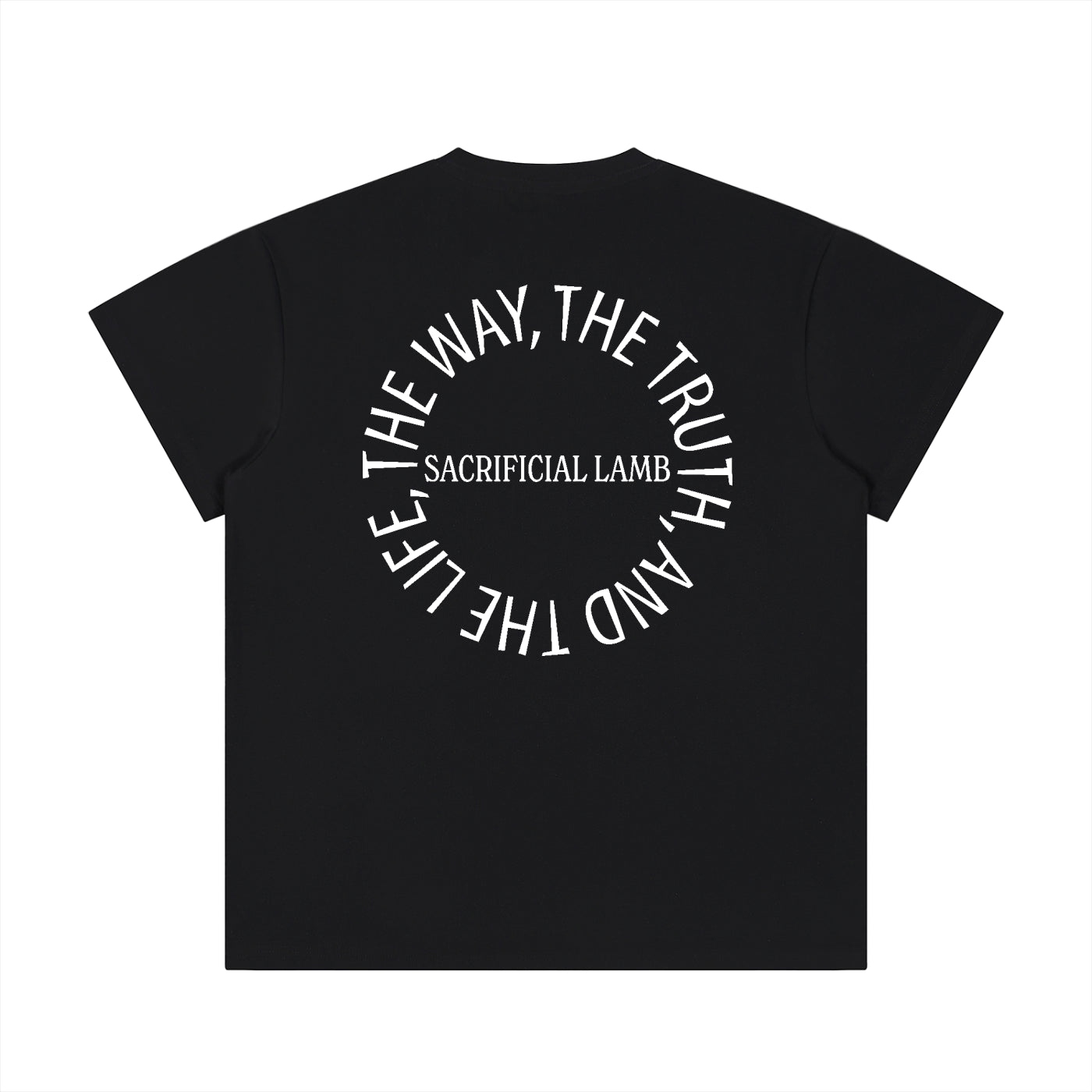 100 percent cotton t-shirt,lightweight cotton t-shirt,classic fit t-shirt,breathable cotton t-shirt,regular fit cotton t-shirt,loose fit t-shirt,cotton graphic t-shirt,israelite clothing,hebrew israelite apparel,scripture t-shirt